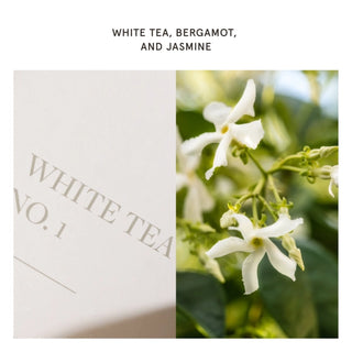 Pura Scent - White Tea No.1 - Smart Vial