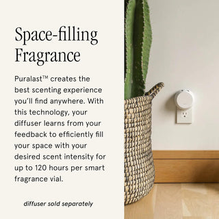 Pura Scent - The Smell of Christmas - Smart Vial