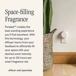 Pura Scent - Winter White