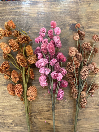 CF3716A Dried Natural Thistle Pick