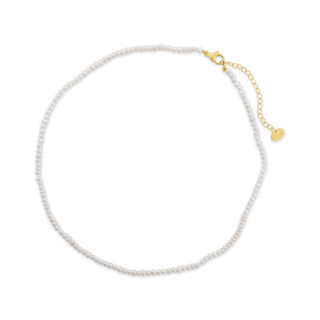 Choker Pearl Petite Gold 4mm 16"