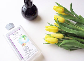 Fragrance -Fruit Melody 500ml