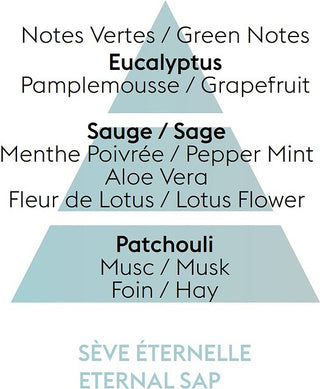 Fragrance -Eternal Sap 500ml