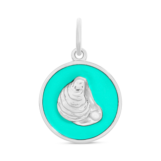 Oyster Silver Seafoam Small