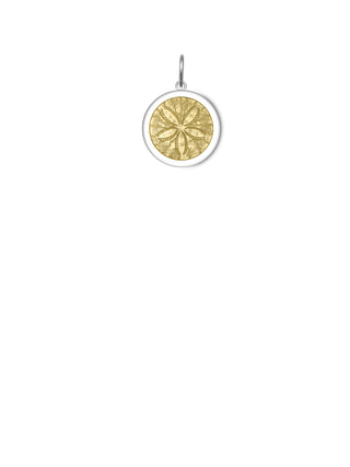 Sand Dollar Gold Center Medium