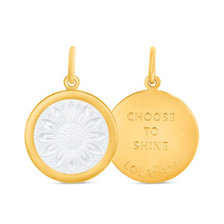 Sunflower All Gold Alpine White Medium