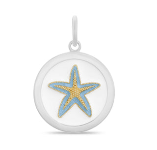Starfish Gold Light Blue Medium