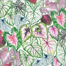 Succulent Leaves Napkins