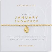 A Little Birth Flower "January" Gold