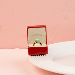A296 Mini Diamond Ring "Put a Ring on it"