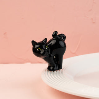 A419 Scaredy Cat
