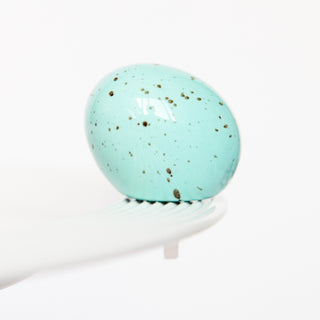 A426 Mini Eggstra Ordinary (Robins Egg)