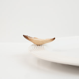NF Mini Creative Quill - Feather