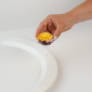 A456 - Mini Pansy Pop
