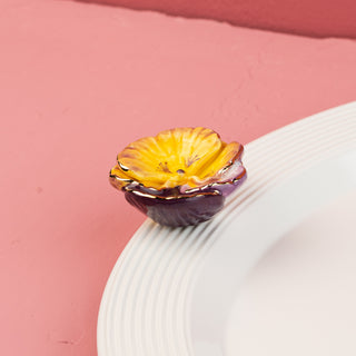 A456 - Mini Pansy Pop