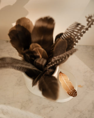 NF Mini Creative Quill - Feather