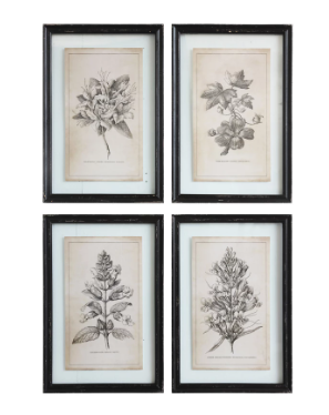 Framed Wall Decor with Floral Image - set of 4