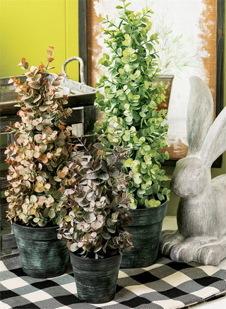 Large Eucalyptus Topiary