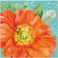 Joni Turquoise CKTL C1071342