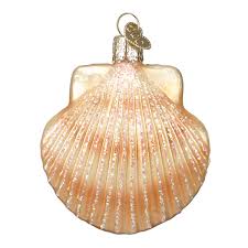 12179 Clam/ scallop Shell Orn