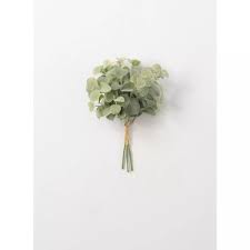 Basil Bundle