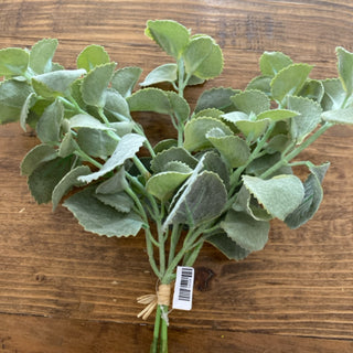 Sage Bundle