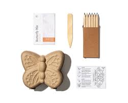 Curious Critters Activity Kit - Butterfly