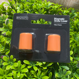 Magnetic Straw Caps - Vibe Check