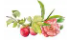 Tall Silver Tea Tin - Asian Cherry Blossom