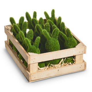 Moss Rabbits 3.75" 4553304
