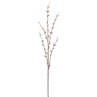 Pussy Willow Branch 45.5" - Light Pink F4441887