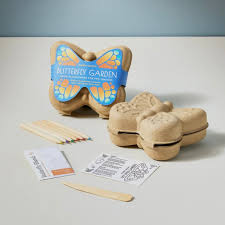 Curious Critters Activity Kit - Butterfly
