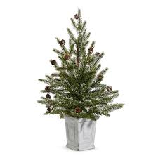 26" Pine in White Container