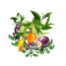 Skinny Silver Tea Tin - Organic Elderberry Energy Fruit