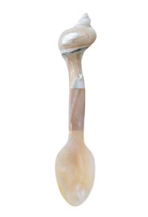Natural Shell Spoon, Iridescent Finish