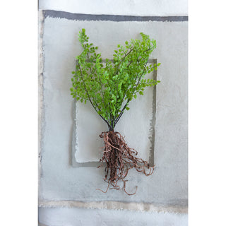 Faux Fern with Exposed Roots (3 styles)