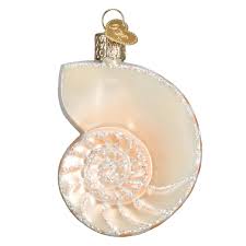 12150 Nautilus Shell Orn