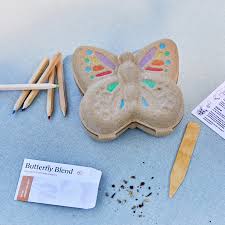 Curious Critters Activity Kit - Butterfly