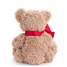 Christian - Plush Bear