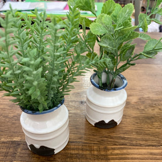 DF7737A greenery plant in cream pot