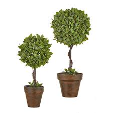 2902145 Boxwood Topiary