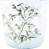 Tall Reclaimed Glass Votive Holder with Natural Botanicals