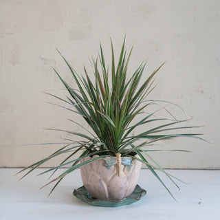 Stoneware Flower Shaped Planter & Saucer