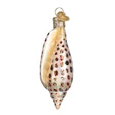 12465 Junonia Shell Orn