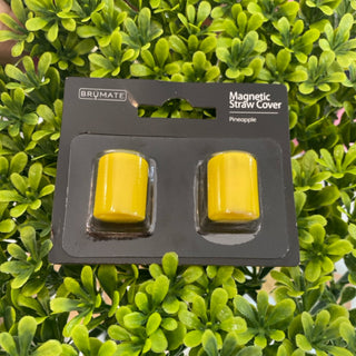 Magnetic Straw Caps - Pineapple