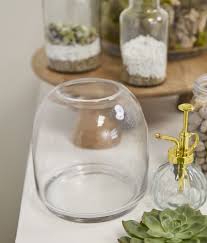 Oliver Terrarium 10.5" x 11.25" Glass