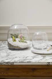 Oliver Terrarium 6.75"x7" Glass