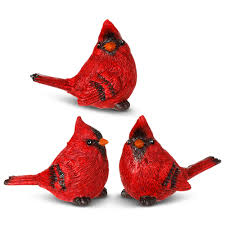 Cardinal Asst. 3.25Ó X3904914