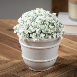 FRORB Frosted Green Boxwood Orb