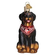 12696 Rottweiler Ornament - OWC
